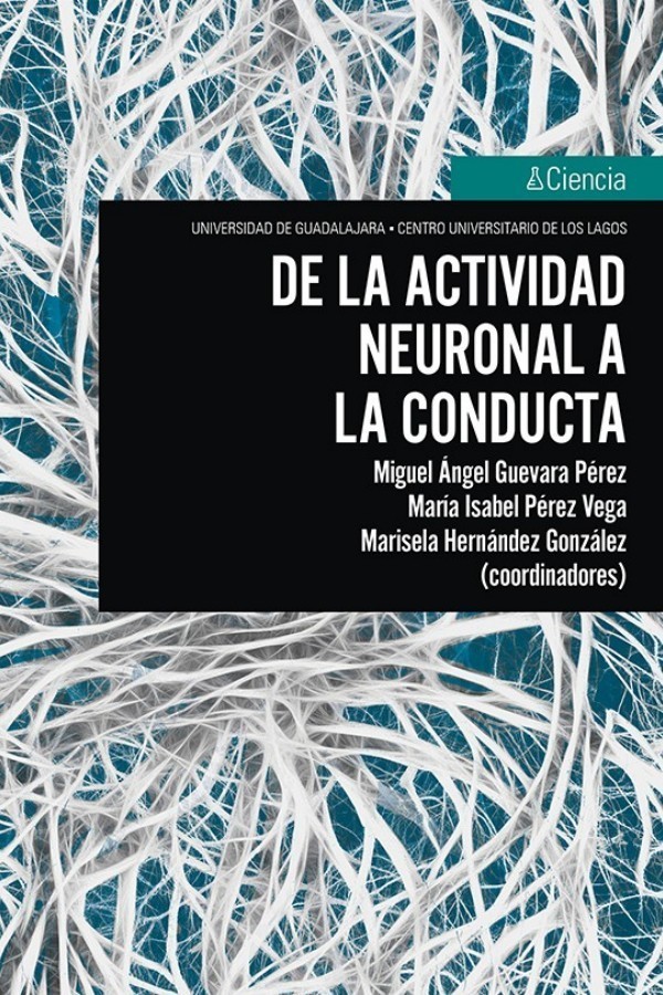 De la actividad neuronal a la conducta