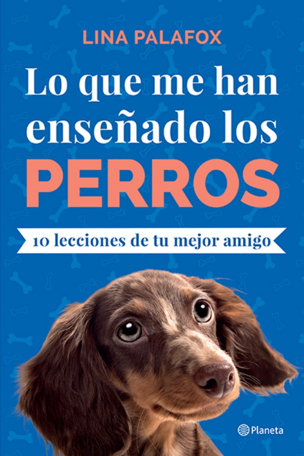 Lo que me han enseñado los perros