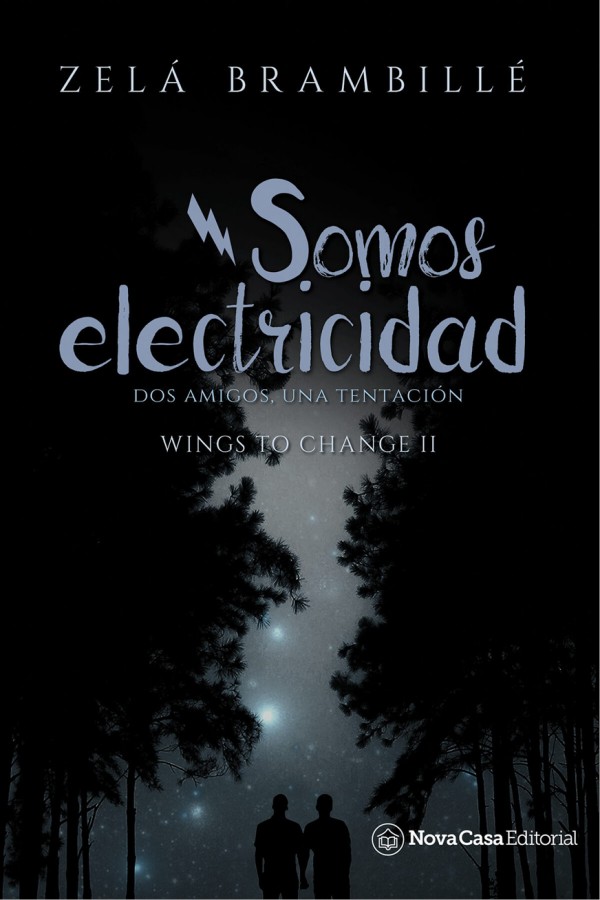 Somos electricidad