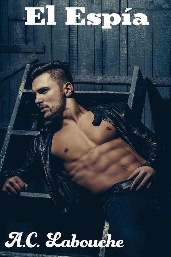 El espía: El juego comienza