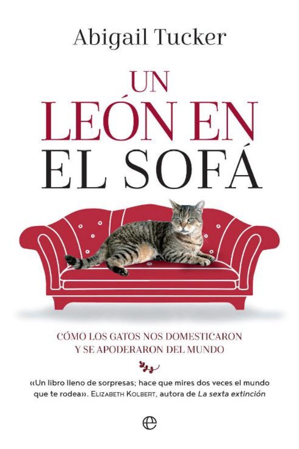 Un león en el sofá