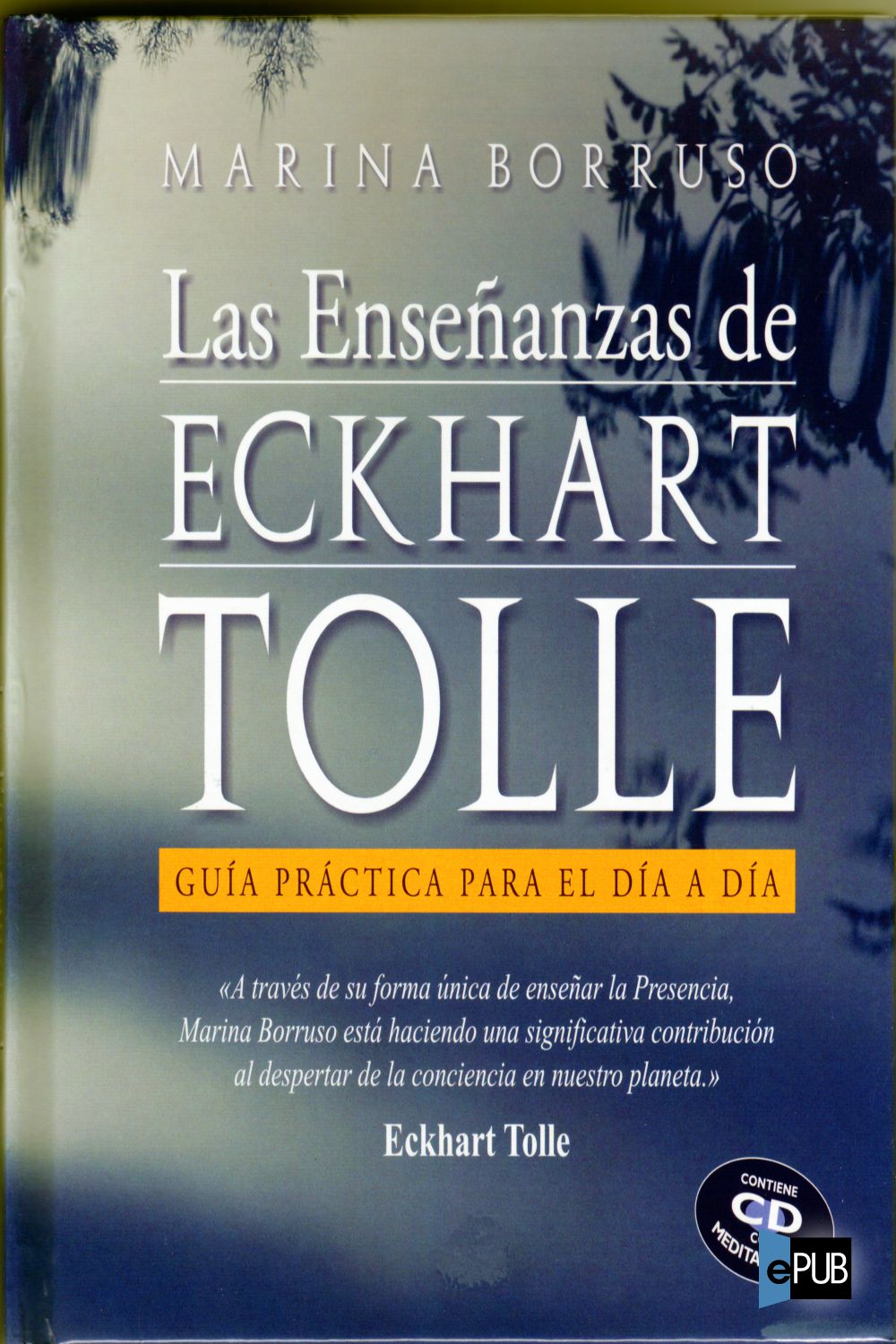 Las enseñanzas de Eckhart Tolle