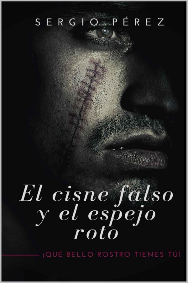 El cisne falso y el espejo roto