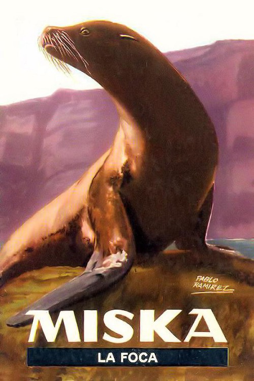 Miska, la foca