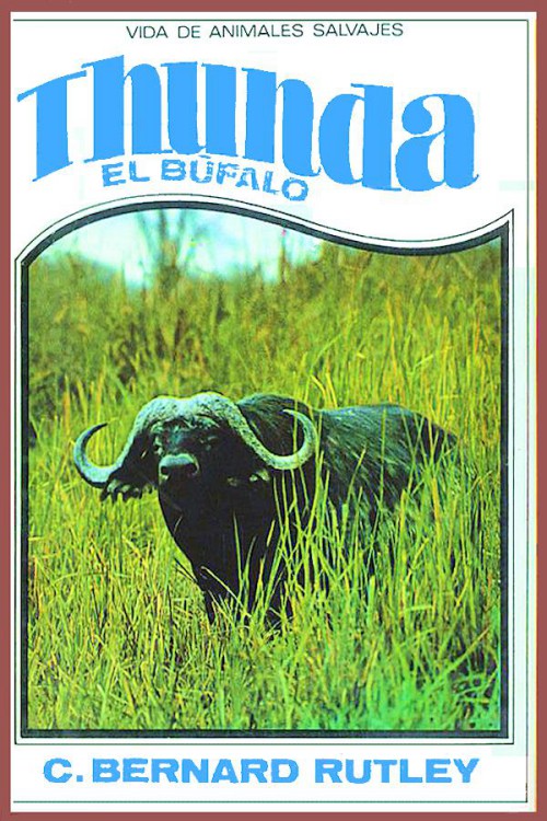 Thunda, el búfalo