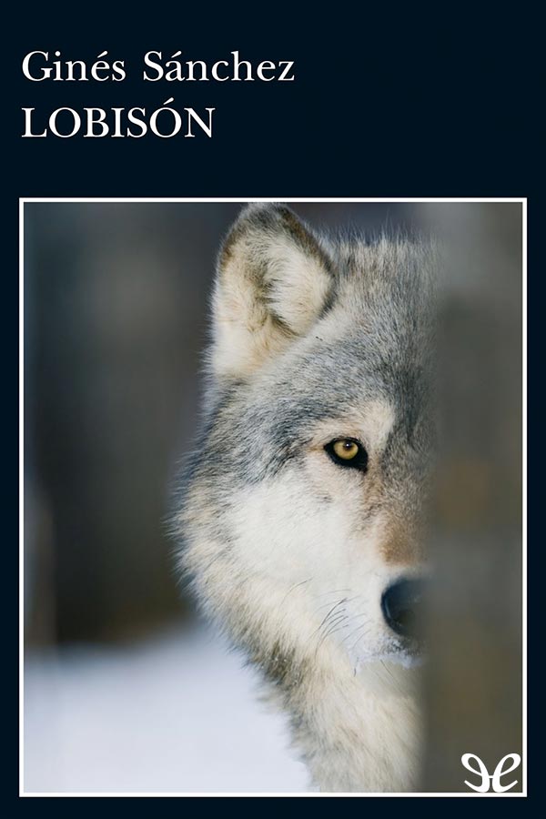Lobisón