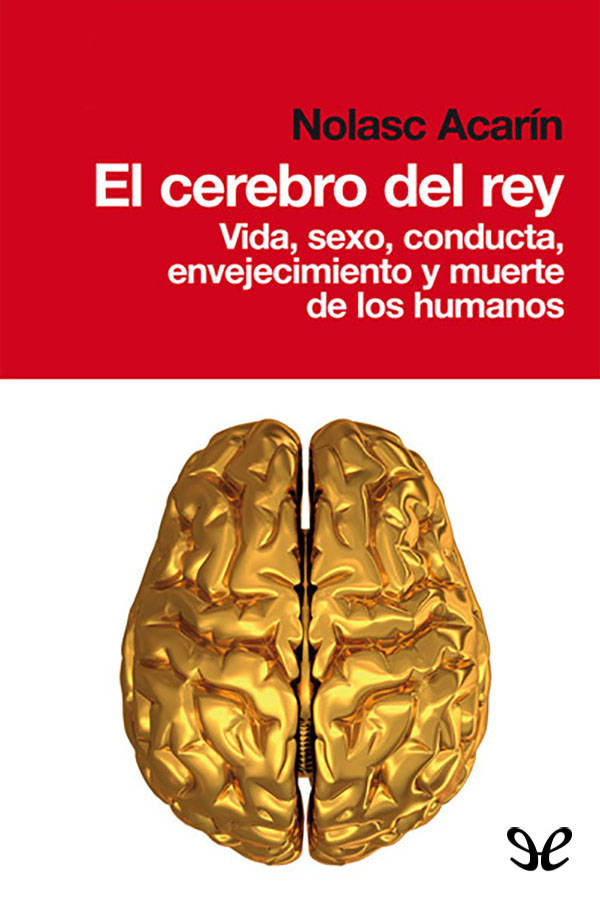 El cerebro del rey