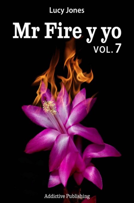 Mr Fire y yo Vol.7