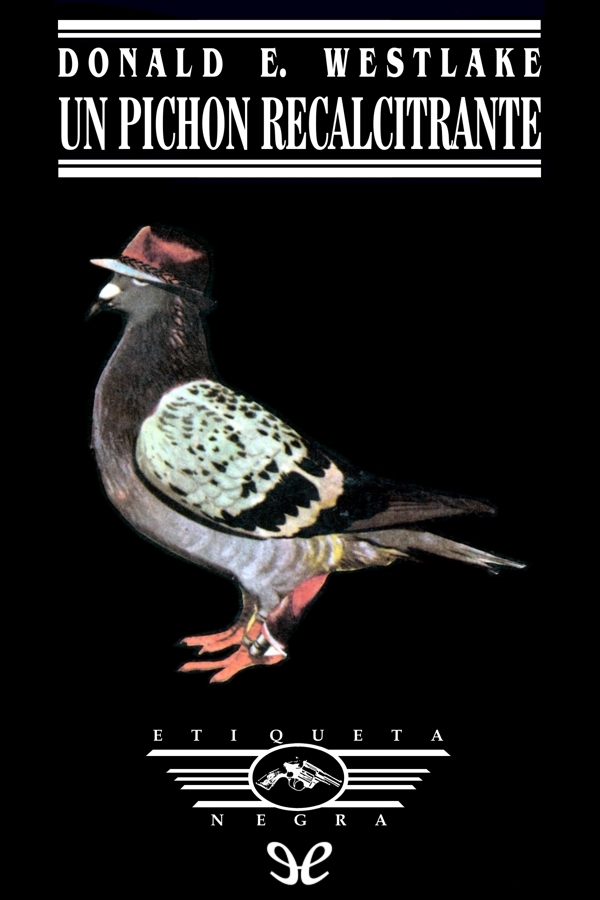 Un pichón recalcitrante