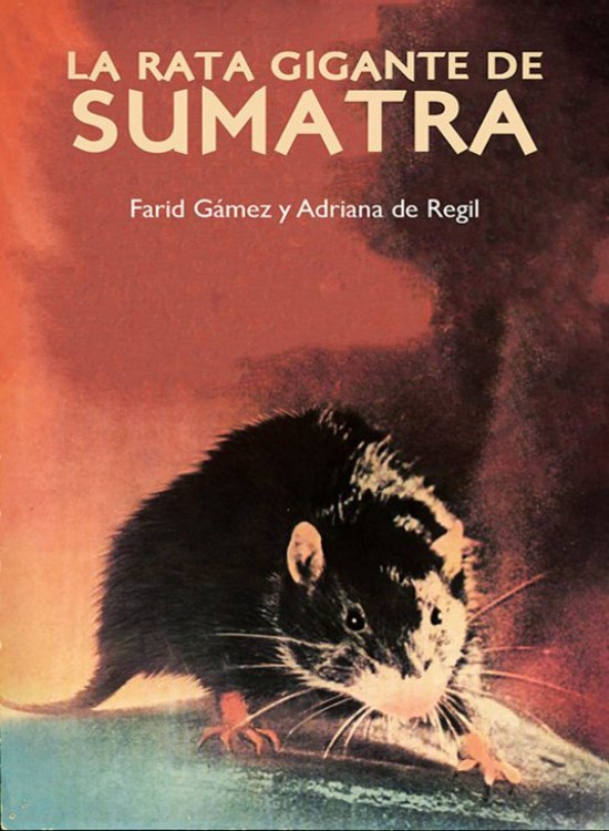 La rata gigante de Sumatra