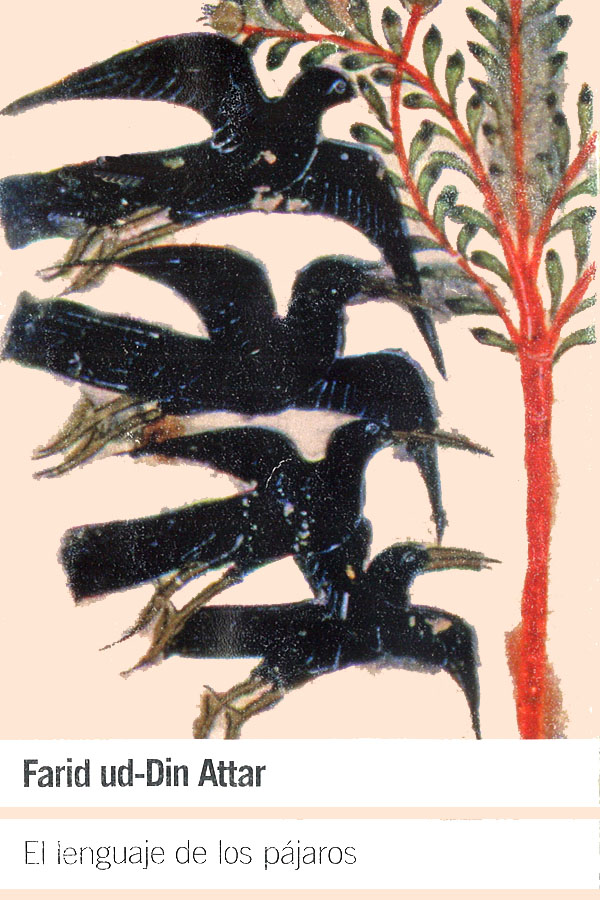 El lenguaje de los pájaros