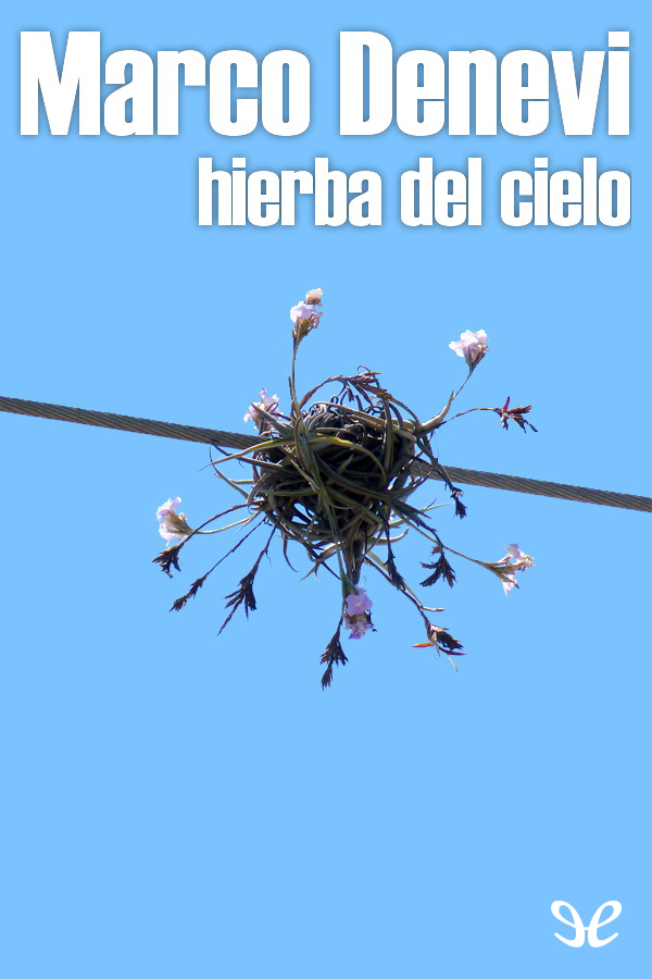 Hierba del cielo