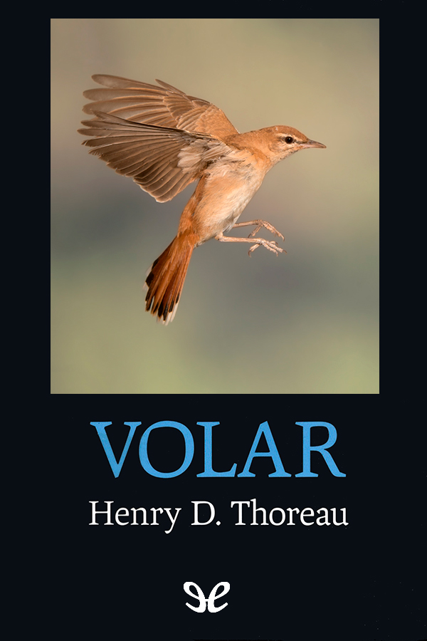 Volar