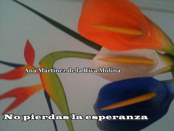 No pierdas la esperanza