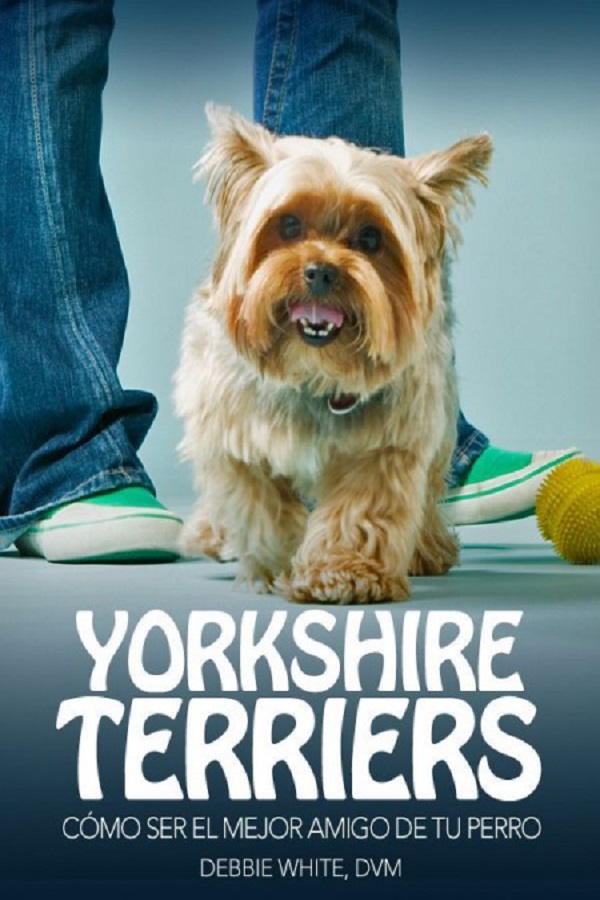 Yorkshire Terriers