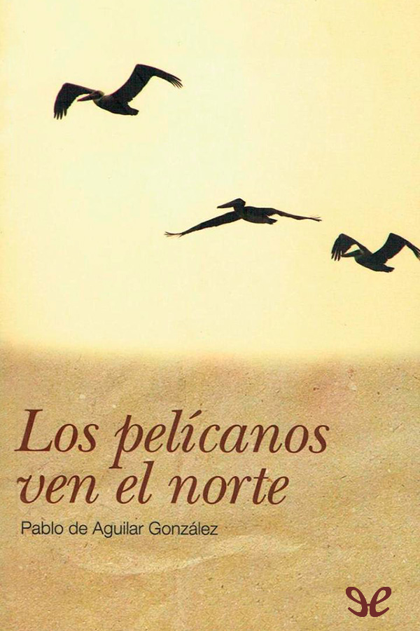 Los pelícanos ven el norte